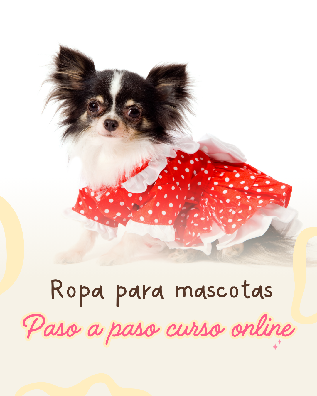Ropa para mascotas